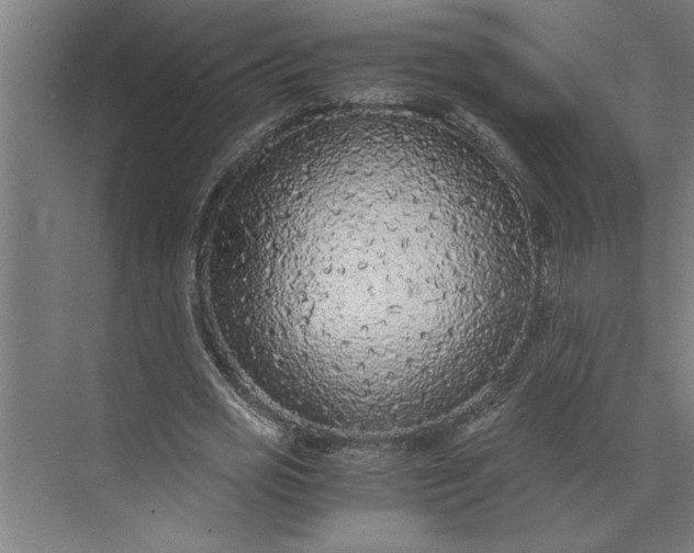 X0000073920725200608251548