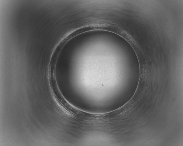 X0000073920726200608251548