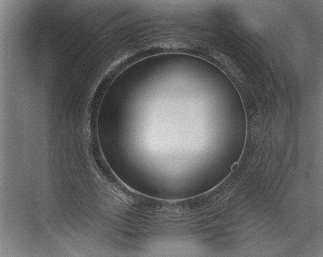 X0000073920727200608251548