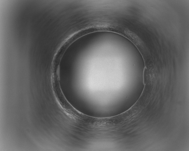 X0000073920728200608251548