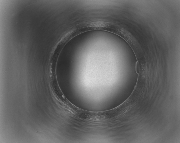 X0000073920731200608251548