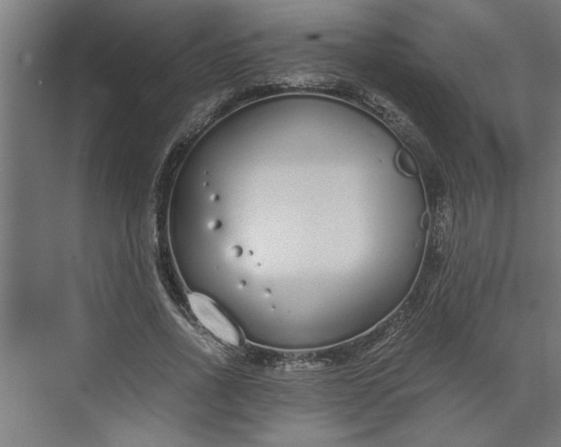 X0000073920734200608251549