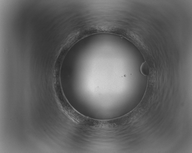 X0000073920738200608251549