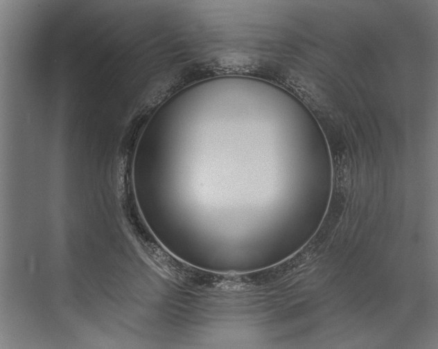 X0000073920742200608251549