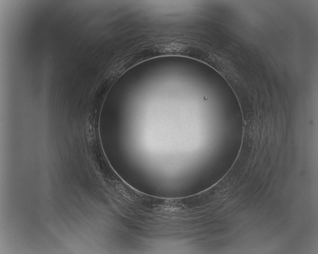 X0000073920743200608251549