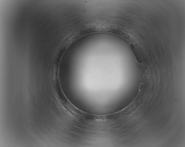 X0000073920744200608251549