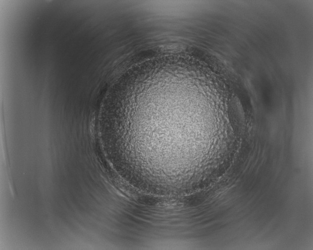 X0000073920745200608251549