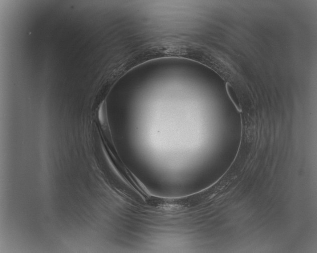 X0000073920748200608251549