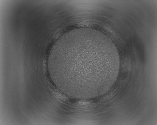 X0000073920749200608251549