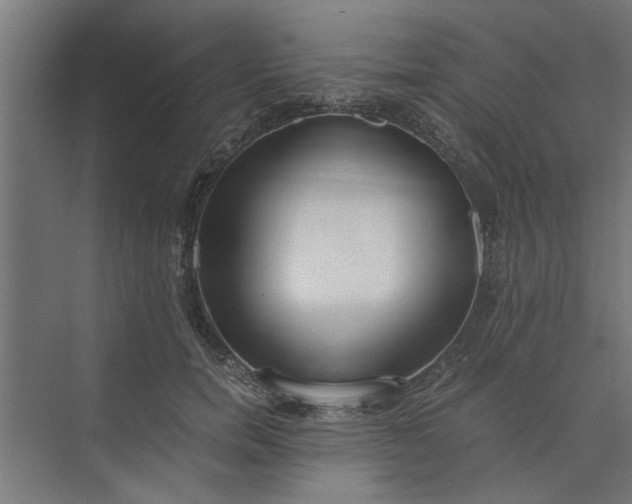 X0000073920750200608251549