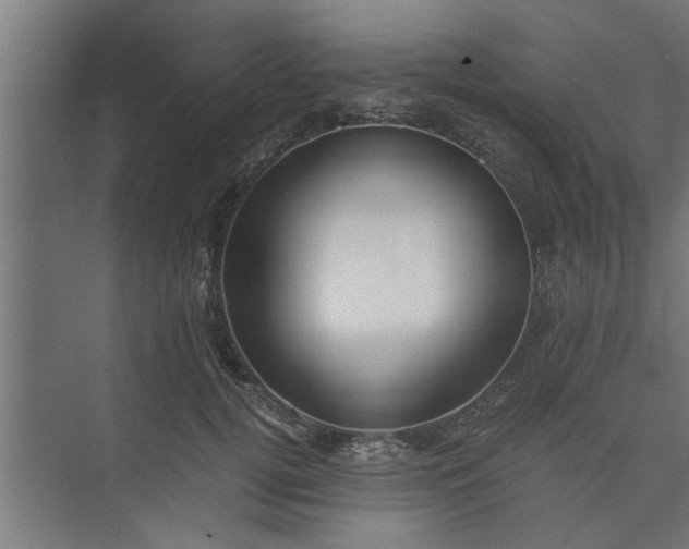 X0000073920752200608251549