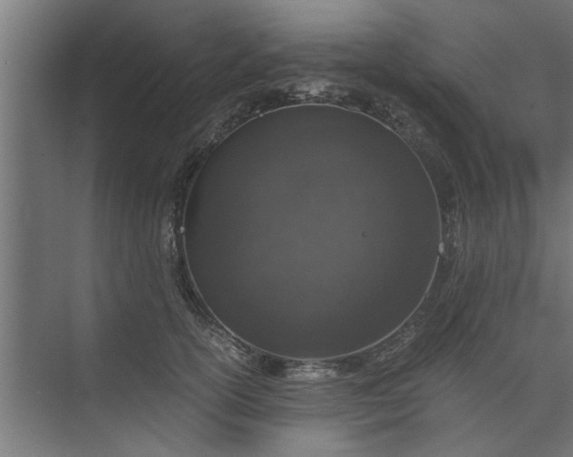 X0000073920754200608251549