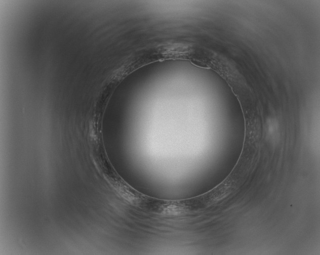 X0000073920755200608251549