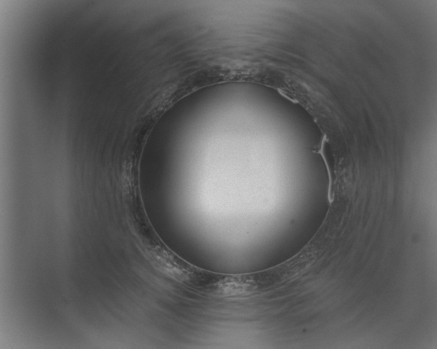 X0000073920756200608251549