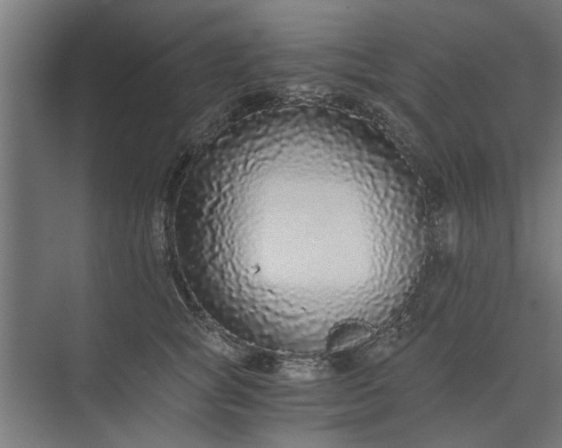 X0000073920757200608251549