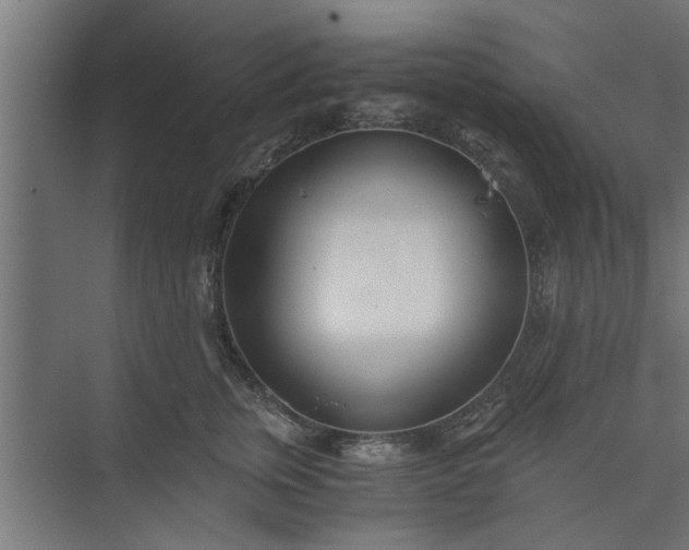 X0000073920759200608251549