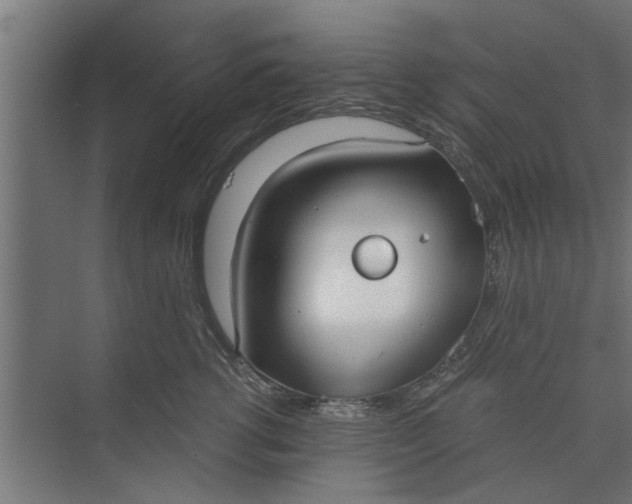 X0000073920762200608251549