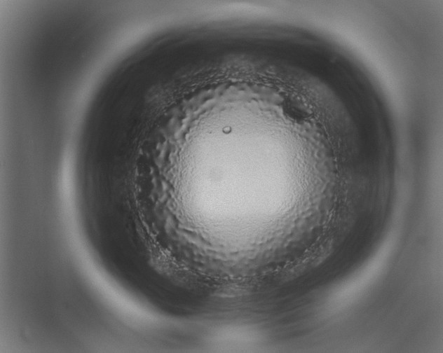 X0000073920765200608251549