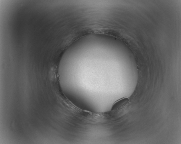 X0000073920768200608251549