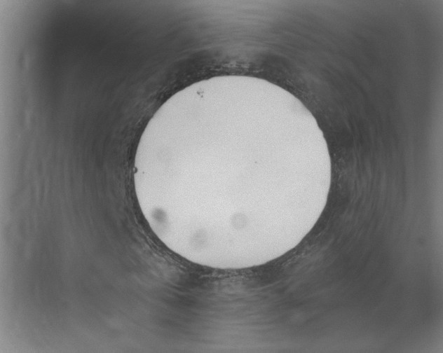 X0000073920769200608251548