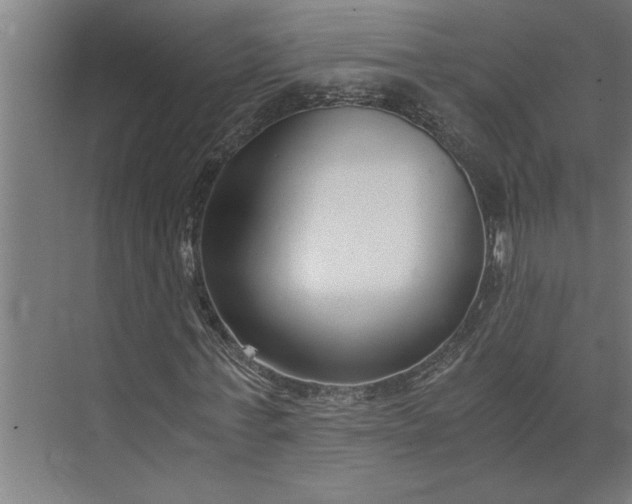 X0000073920771200608251548