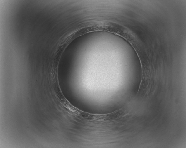 X0000073920773200608251548