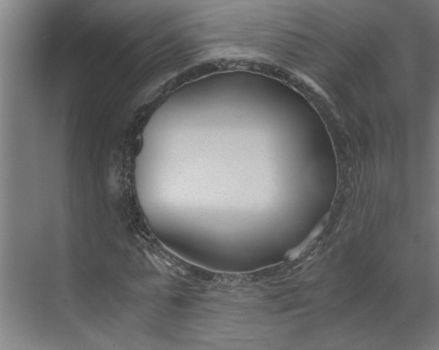 X0000073920775200608251548