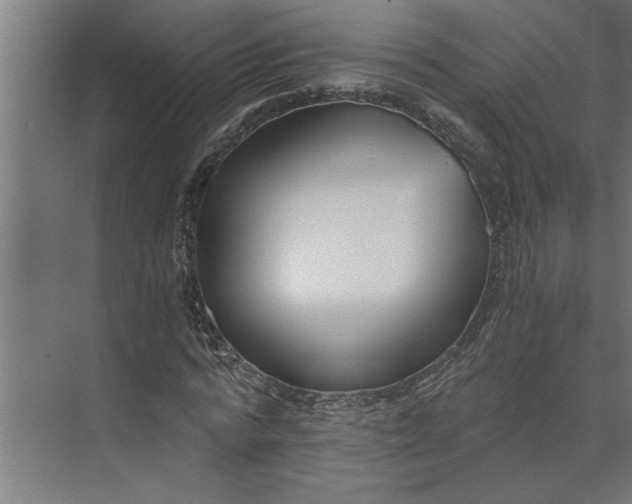 X0000073920776200608251548