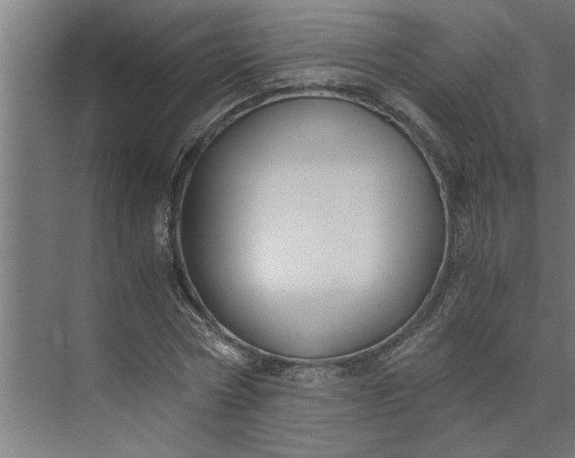 X0000073920778200608251548