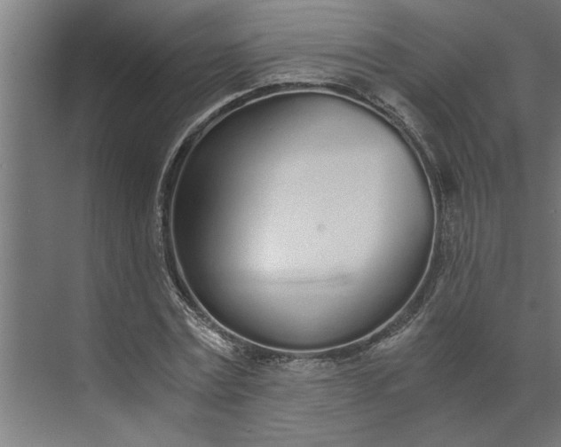 X0000073920779200608251548