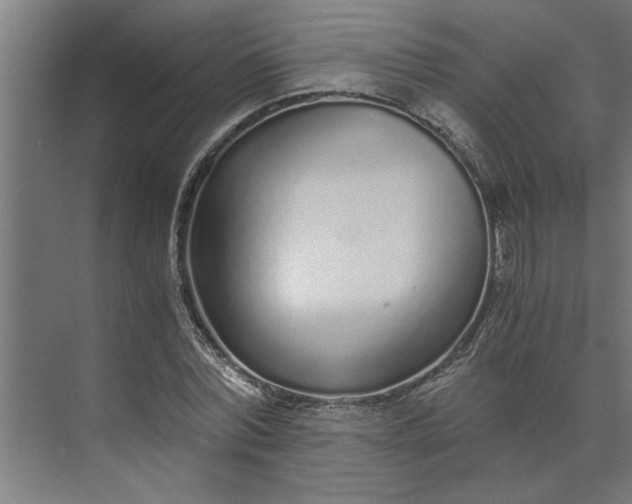 X0000073920780200608251548