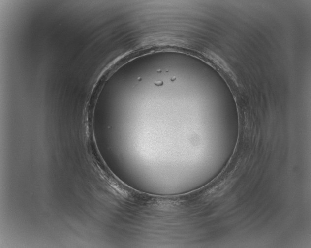 X0000073920782200608251548