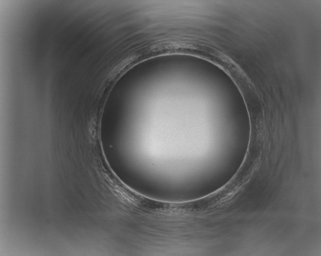 X0000073920785200608251548