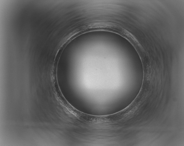 X0000073920786200608251548