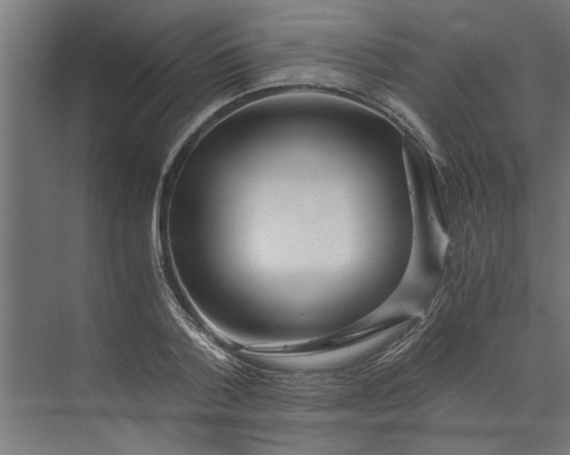 X0000073920788200608251548