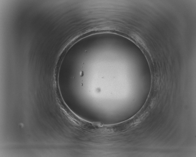 X0000073920789200608251548