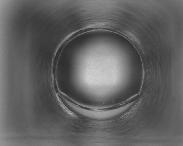 X0000073920792200608251548