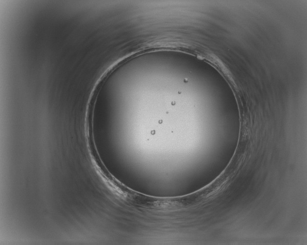 X0000073920795200608251548