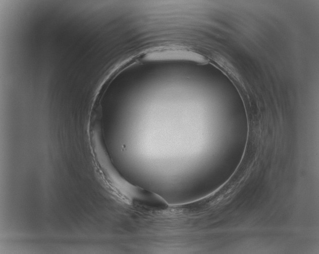 X0000073920797200608251548