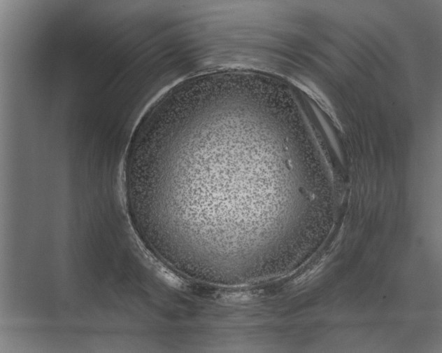 X0000073920798200608251548