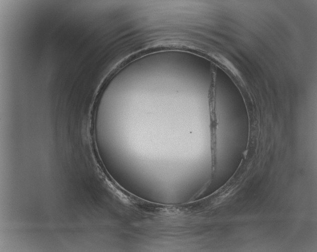 X0000073920799200608251548