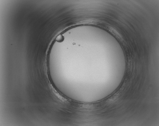 X0000073920800200608251548