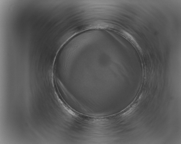 X0000073920802200608251548