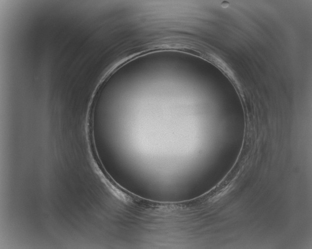 X0000073920803200608251548