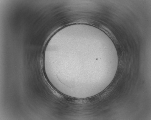 X0000073920804200608251548