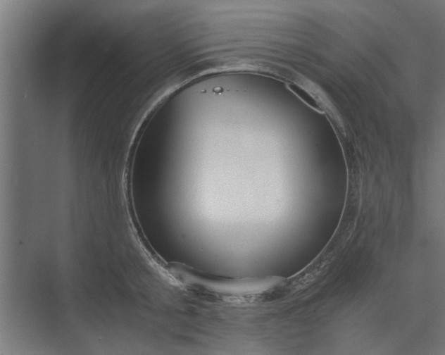 X0000073920805200608251548