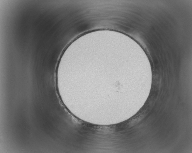 X0000073920807200608251548