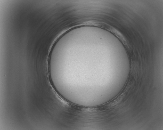 X0000073920808200608251548