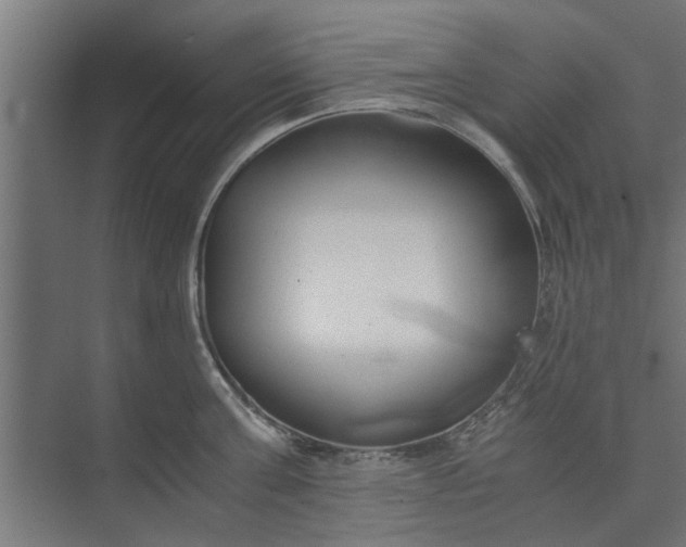 X0000073920811200608251548