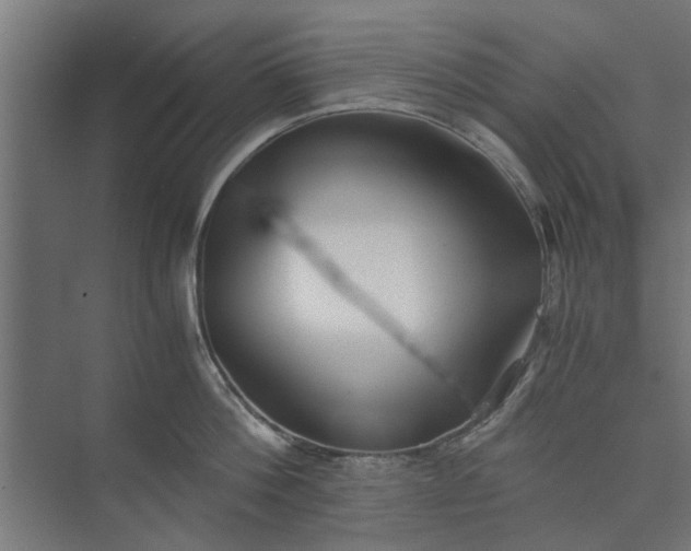 X0000073920812200608251548